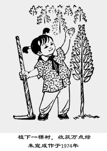 植下一棵树，收获万点绿